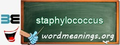 WordMeaning blackboard for staphylococcus